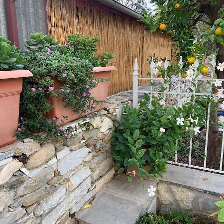 Antica Casa Nel Borgo Apartment Pietrasanta Ngoại thất bức ảnh
