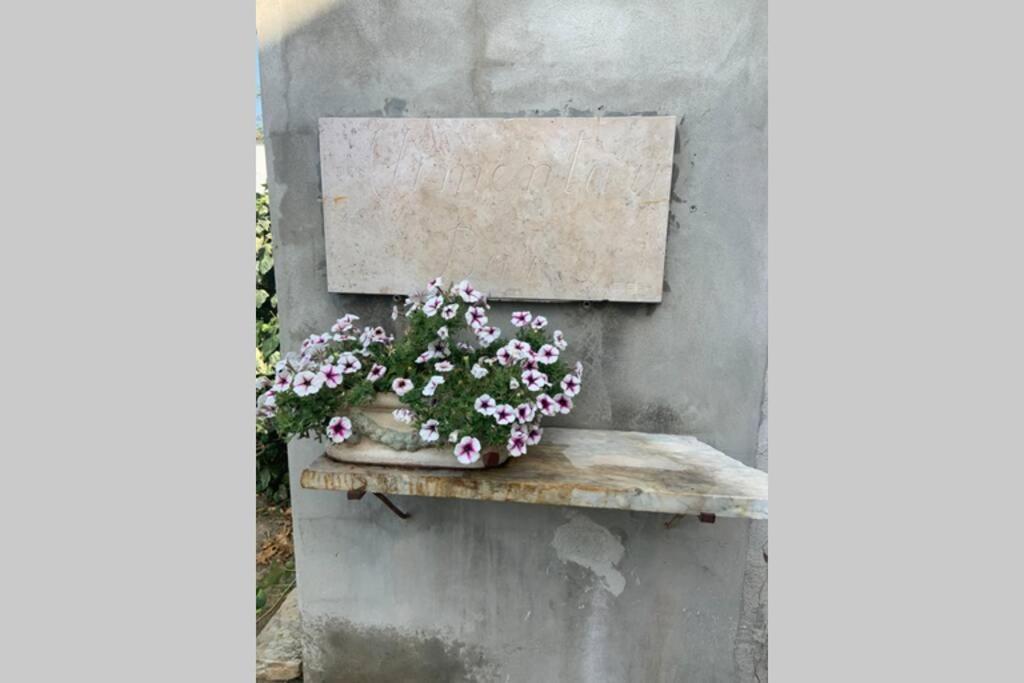 Antica Casa Nel Borgo Apartment Pietrasanta Ngoại thất bức ảnh