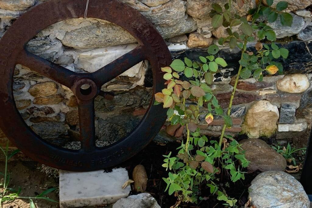 Antica Casa Nel Borgo Apartment Pietrasanta Ngoại thất bức ảnh